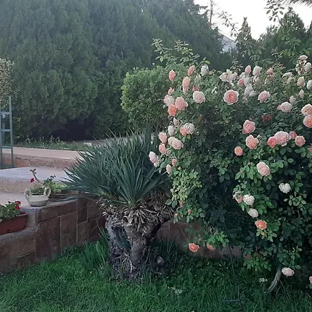 Feriehus Byala Grape House *