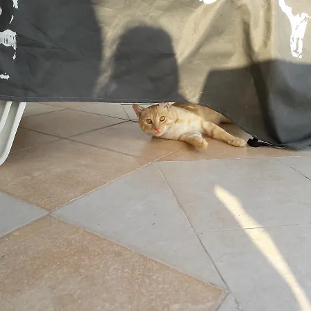 Byala Grape House Feriehus