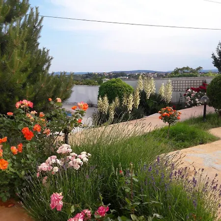 Feriehus Byala Grape House *