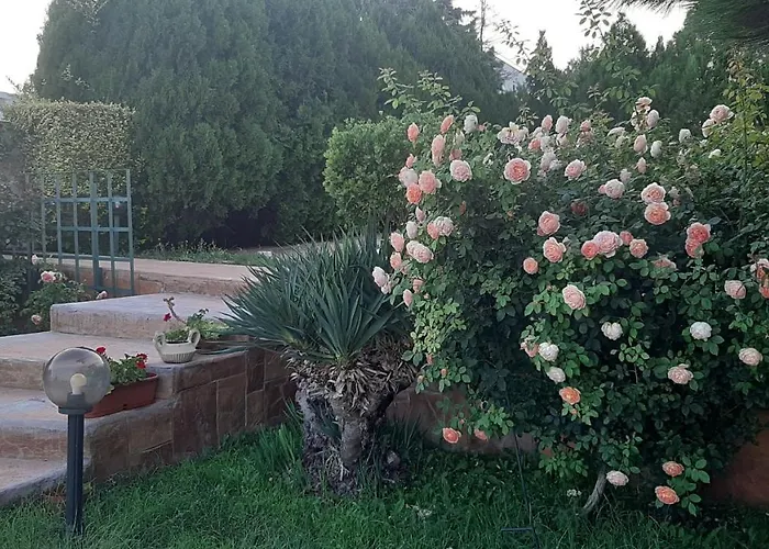 Holiday home Byala Grape House *