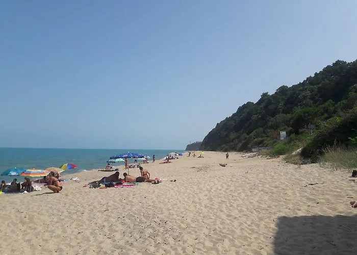 Byala Grape House 펜션