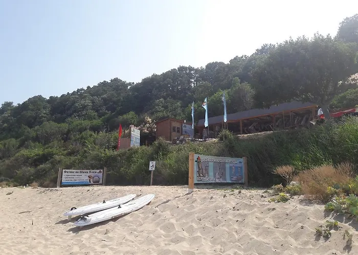 Byala Grape House 펜션 *